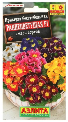 Аэлита примула "Раннецветущая", смесь окрасок