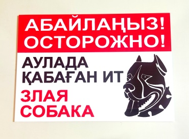 Табличка Осторожно злая собака 30x20 см