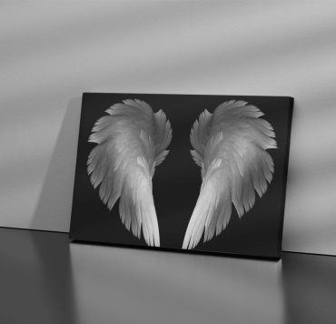Araystudio.kz картина интерьерная на холсте “White wings” 100x70 см