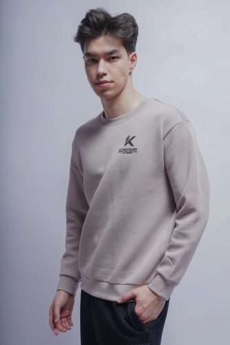 Свитшот Anta серый