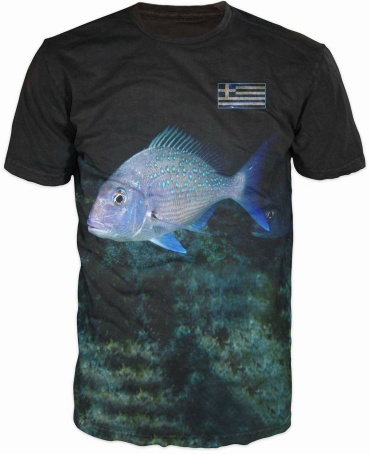 Футболка Traveler TR0404202625 XXXXXL