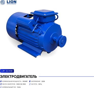 Электродвигатель L39-3.0 KW 3 кВт 3000 об/мин