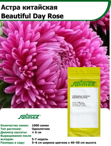 Астра Beautiful Day Rose 1000 семян Satimex