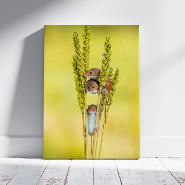 PEMIKAN CRAFT картина Мышата в колосьях 40x60 см