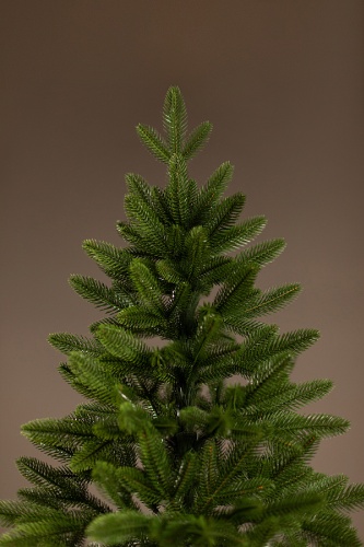 Фото 2