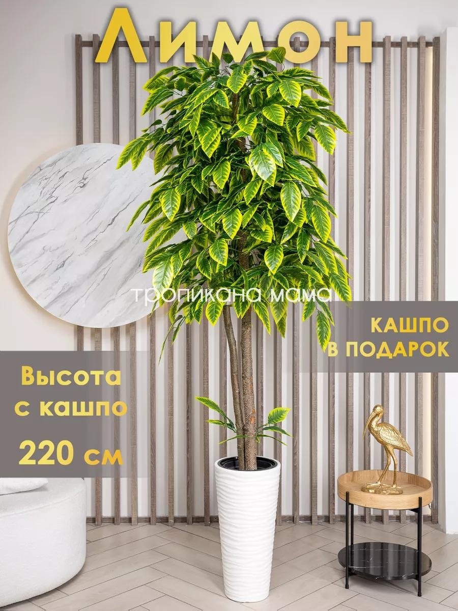 Лимон 220 см, Тропикана мама