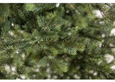 Фото 6