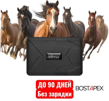 BOSTAPEX TK915 GPS/GSM