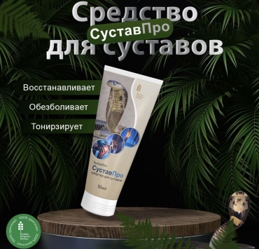 Сустав Про от боли лечебный для суставов и мышц гель 1 шт