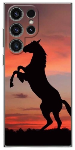 Чехол BAIKO для Samsung Galaxy S24 Ultra рисунок