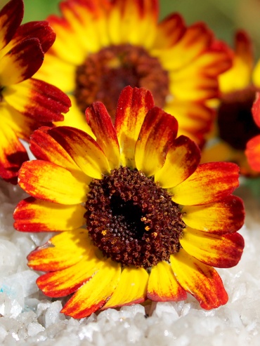 Фото 2