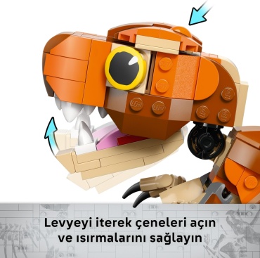 Фото 6