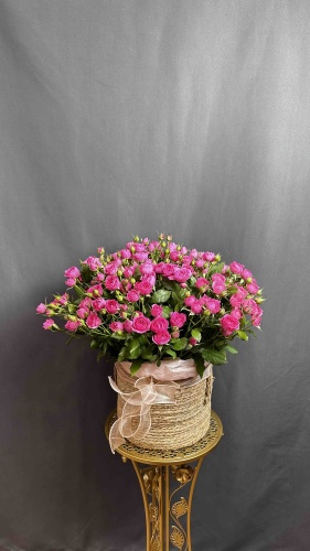 Фото 3