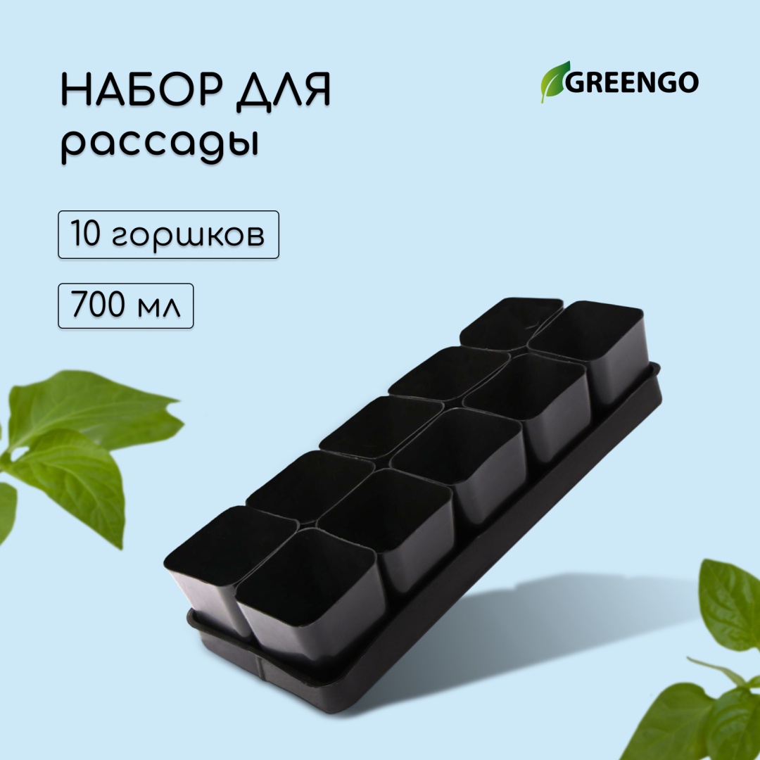 Greengo 1839725