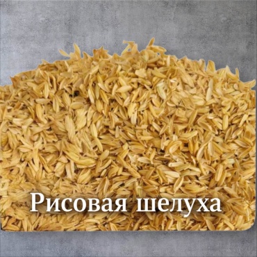 М
