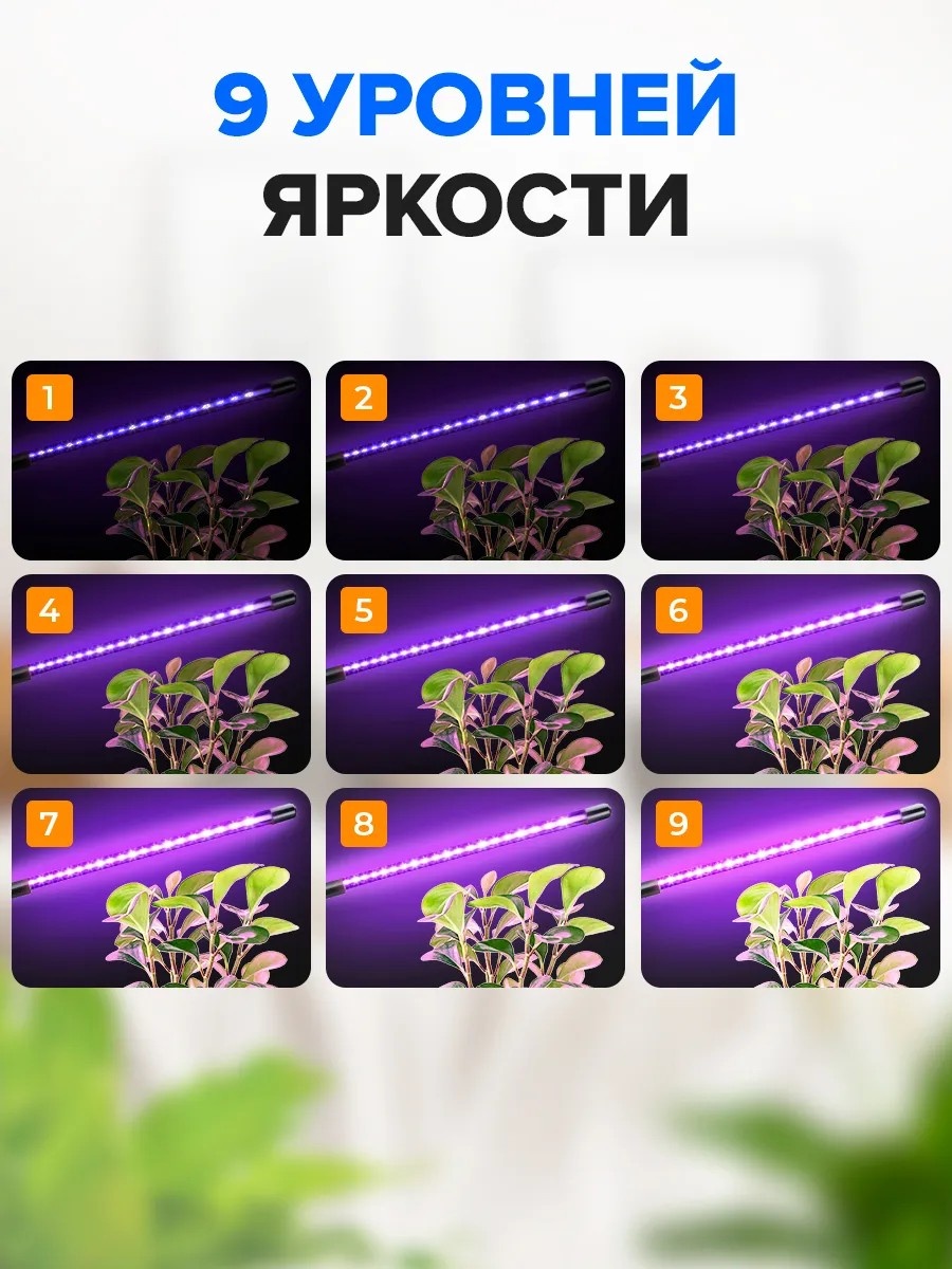 Фото 4