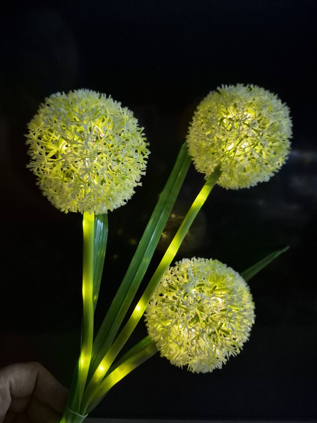 Фото 4