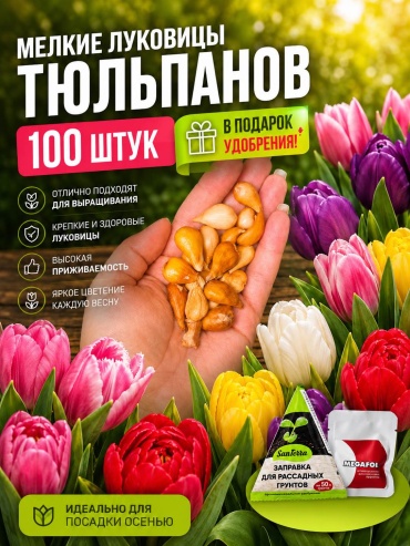 Тюльпан Мелкие луковицы Микс