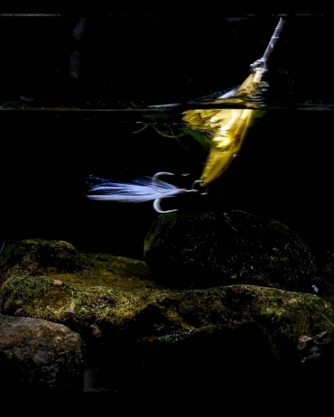 Фото 3