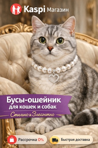 ZooMoDa ошейник декоративный S белый