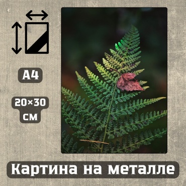 Sequoia VERS картина Картина на металле а4 Дыхание природы 20*30см 20x30 см