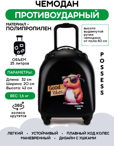 Чемодан 428315406 пластик 22.8 л черный