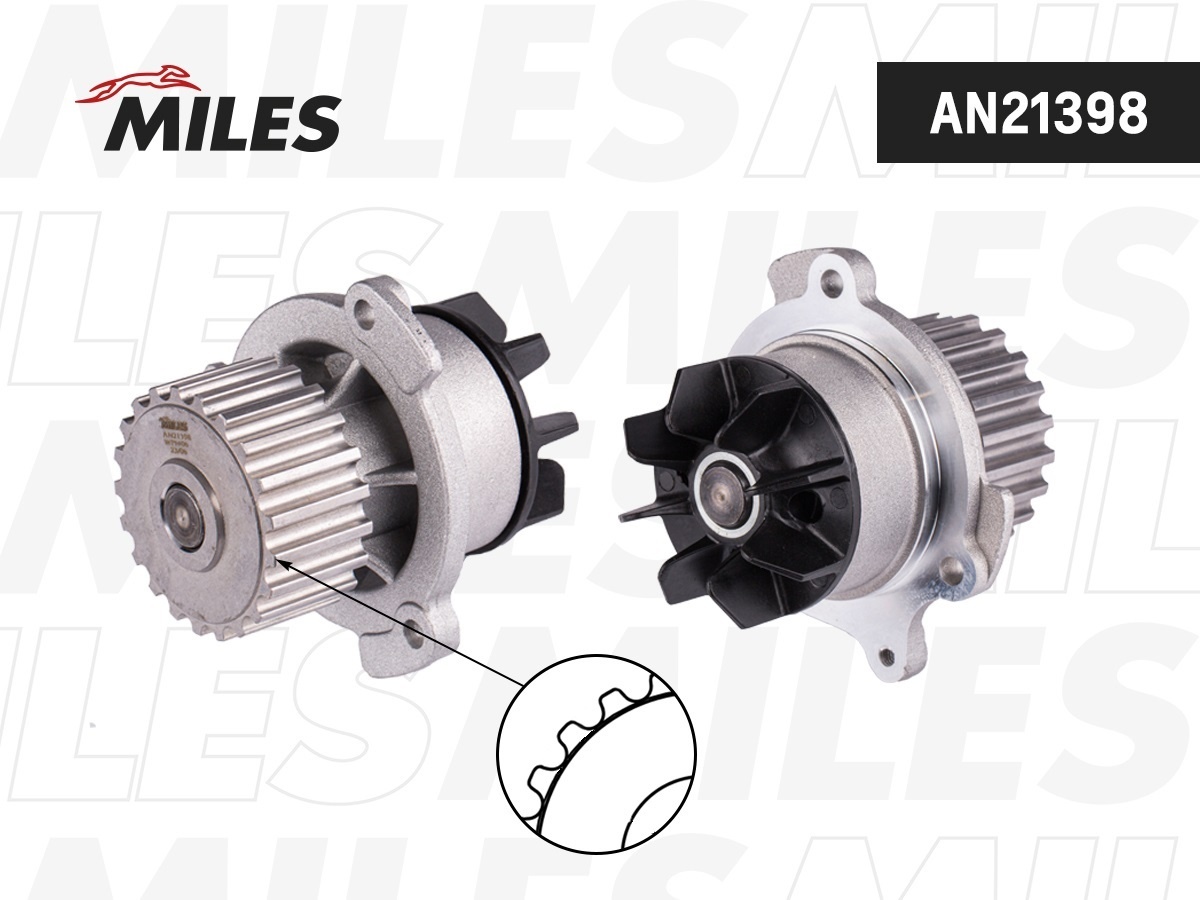 Насос MILES AN21398