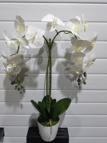 Фото 4