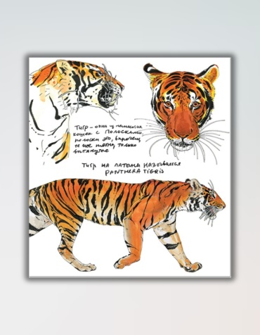 Фото 3