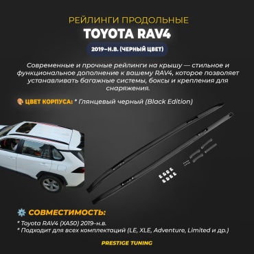 RAV420REIL Toyota RAV4 2019-2023 черный