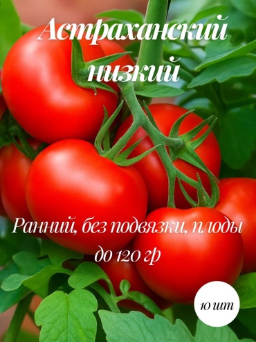 Mevsim томат Коллекционные семена Астраханский низкий