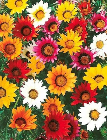 Фото 2