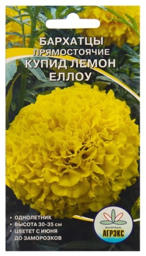 Агрэкс бархатцы Купид лемон еллоу