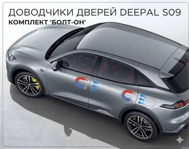 Доводчик 640872987 Deepal S09