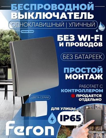 Выключатель клавишный Feron TM92 51030, серебристый