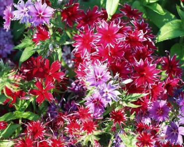Фото 2