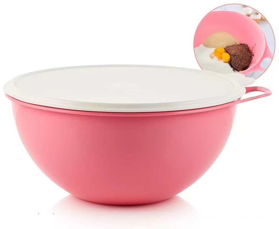 Миска Tupperware 31х31 см, пластик, 2 шт