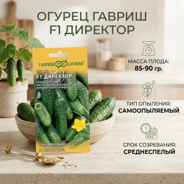 Гавриш огурец Директор F1