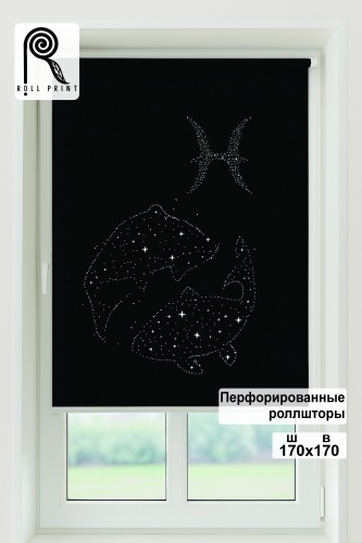 Roll Print Роллшторы с перфорацией черный 170x170 см