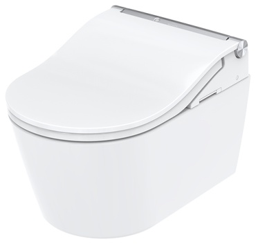 TOTO унитаз-биде RP WASHLET (CW542ERY+TCF801CG+SP10695UN) K24031101, санфарфор