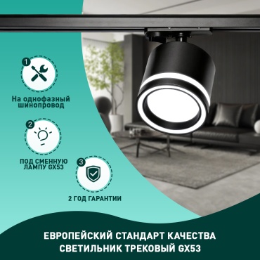 Трековый светильник Radar GX53 20 Вт 220 В GX53DG013--BK