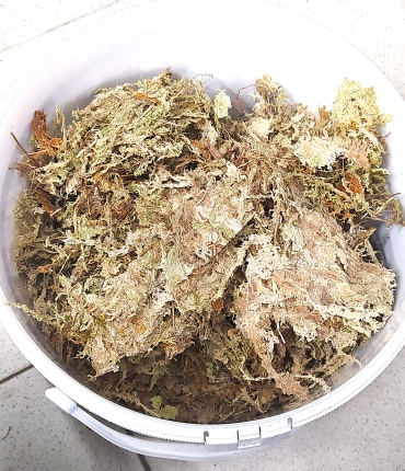 Houyi Мох сфагнум 150 грамм 10 L