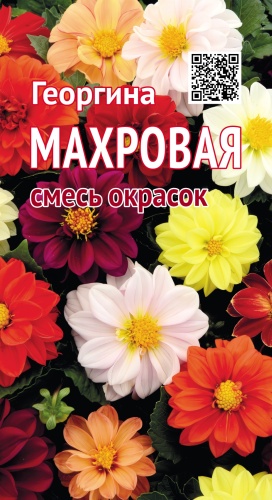 ТҰҚЫМ ҮЙІ георгина МАХРОВАЯ смесь