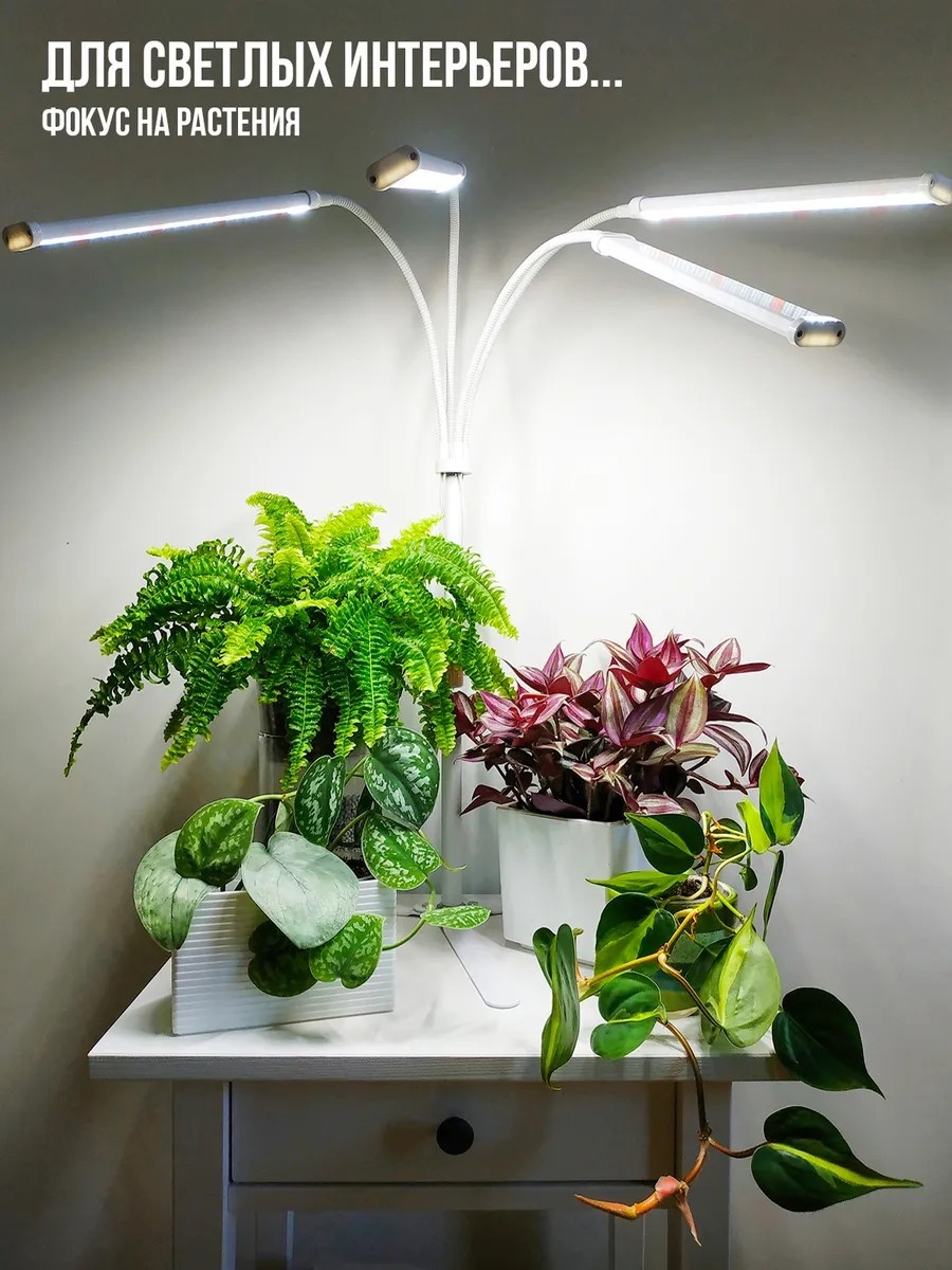Фото 4