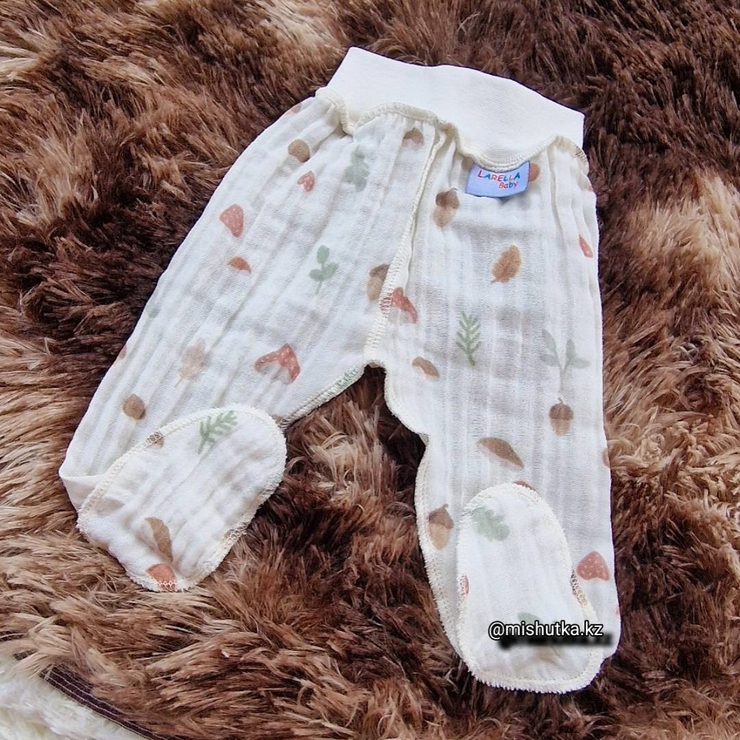 Ползунки Baby мультиколор