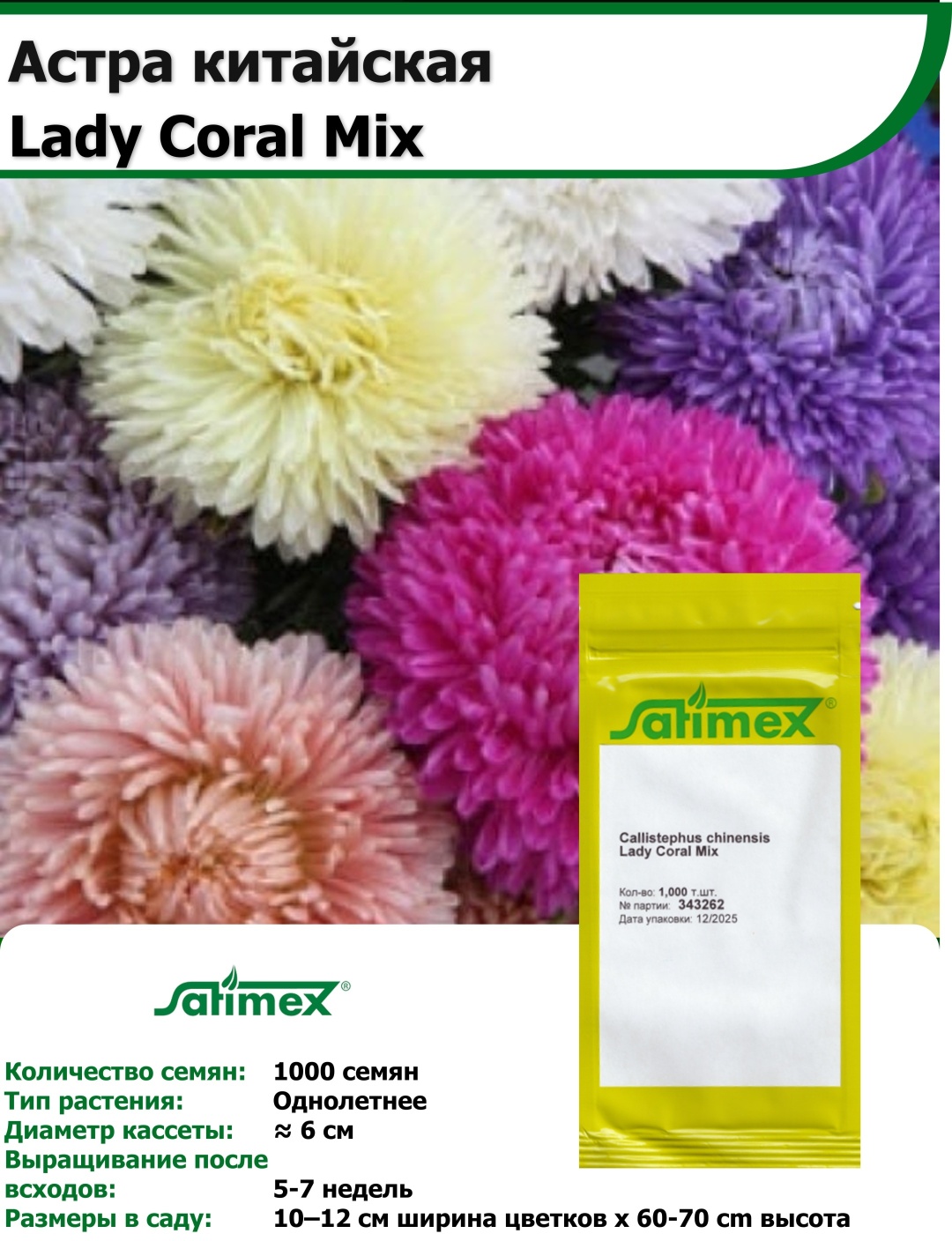 Астра Lady Coral mix Satimex 1000 семян