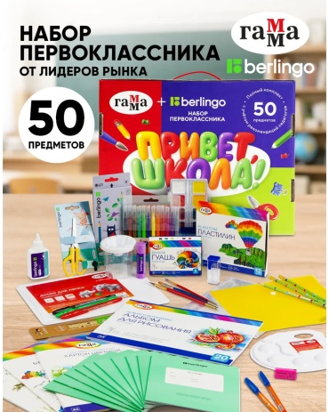 Школьный набор Гамма НП50_012026 предметов 50 шт