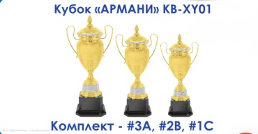 Мир наград кубок