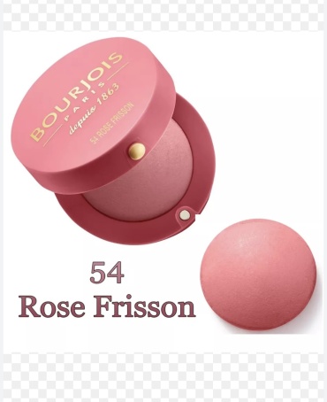 Bourjois depuis 1863 румяна 54 ROSE FRISSON