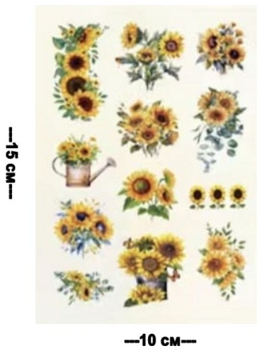 Фото 3